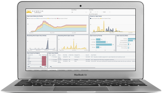 Quick Start Issue Management Tracking