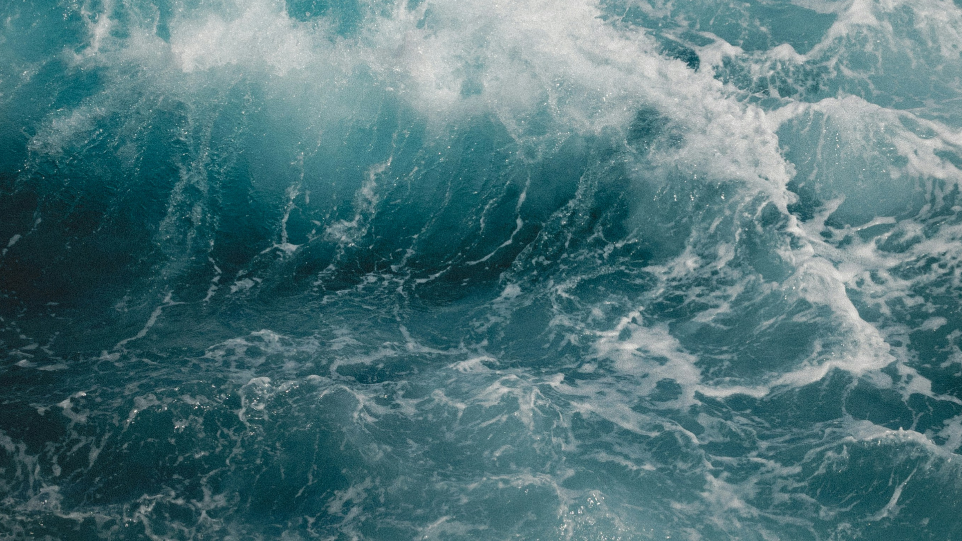 Dynamics 365 vs. Island Pacific