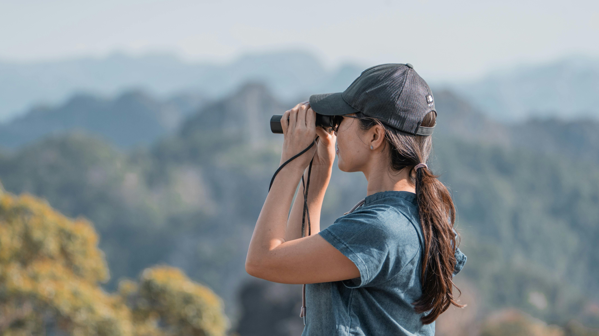 An overview of the inventory visibility add-in for Dynamics 365 Supply Chain