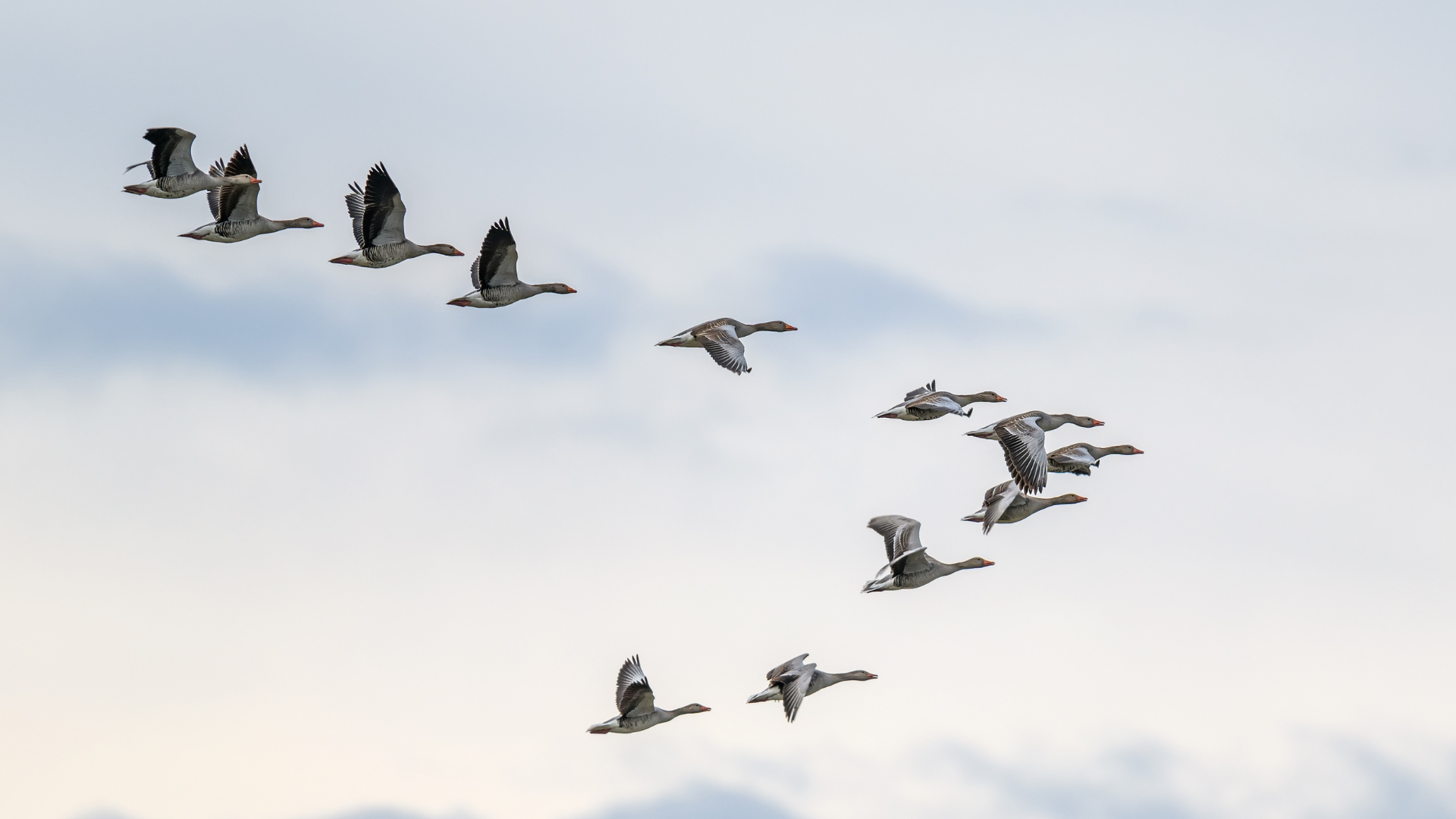 What is Quick Migrate? An overview of our data migration tool