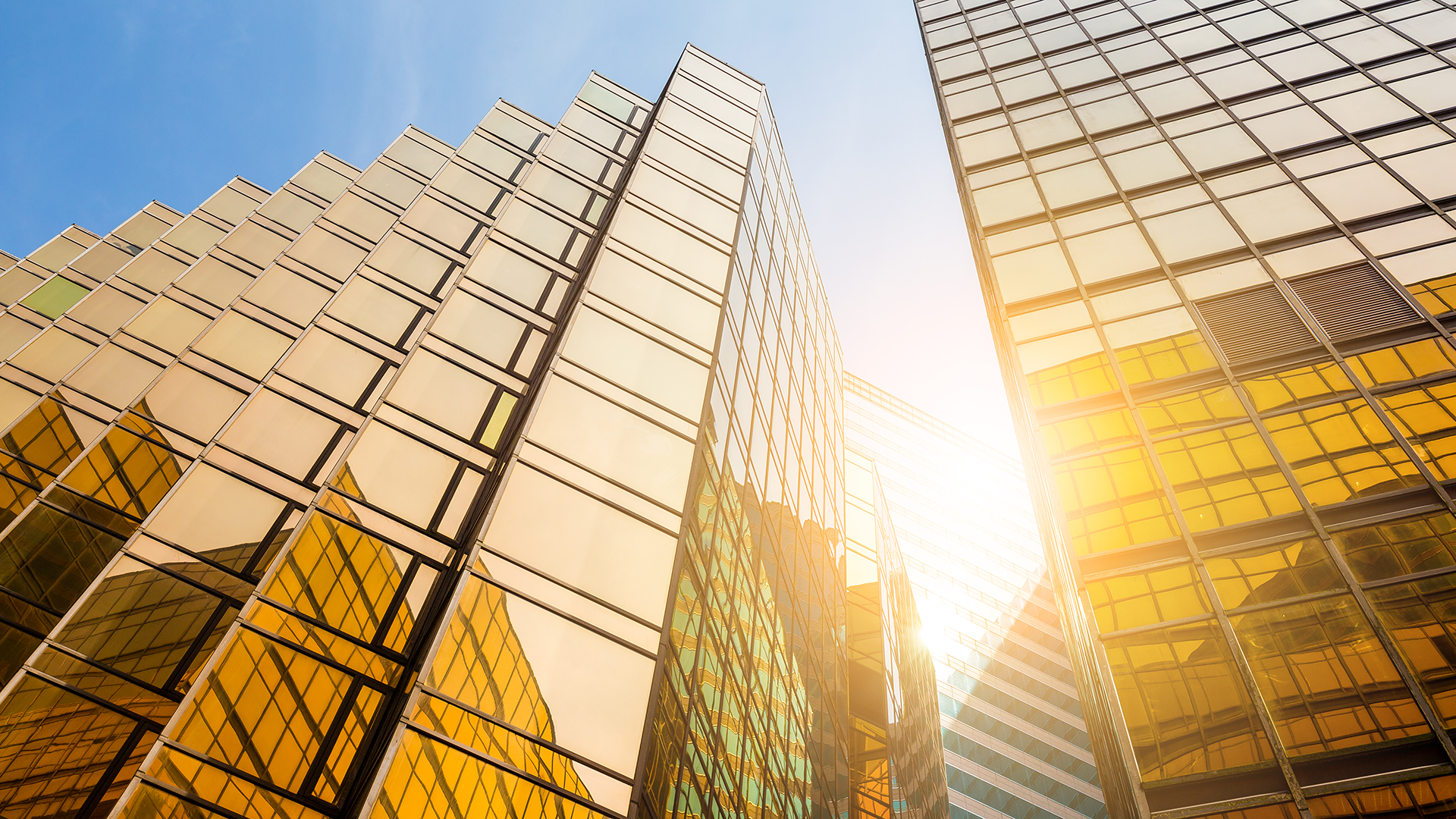 Private equity solutions with Microsoft Dynamics 365