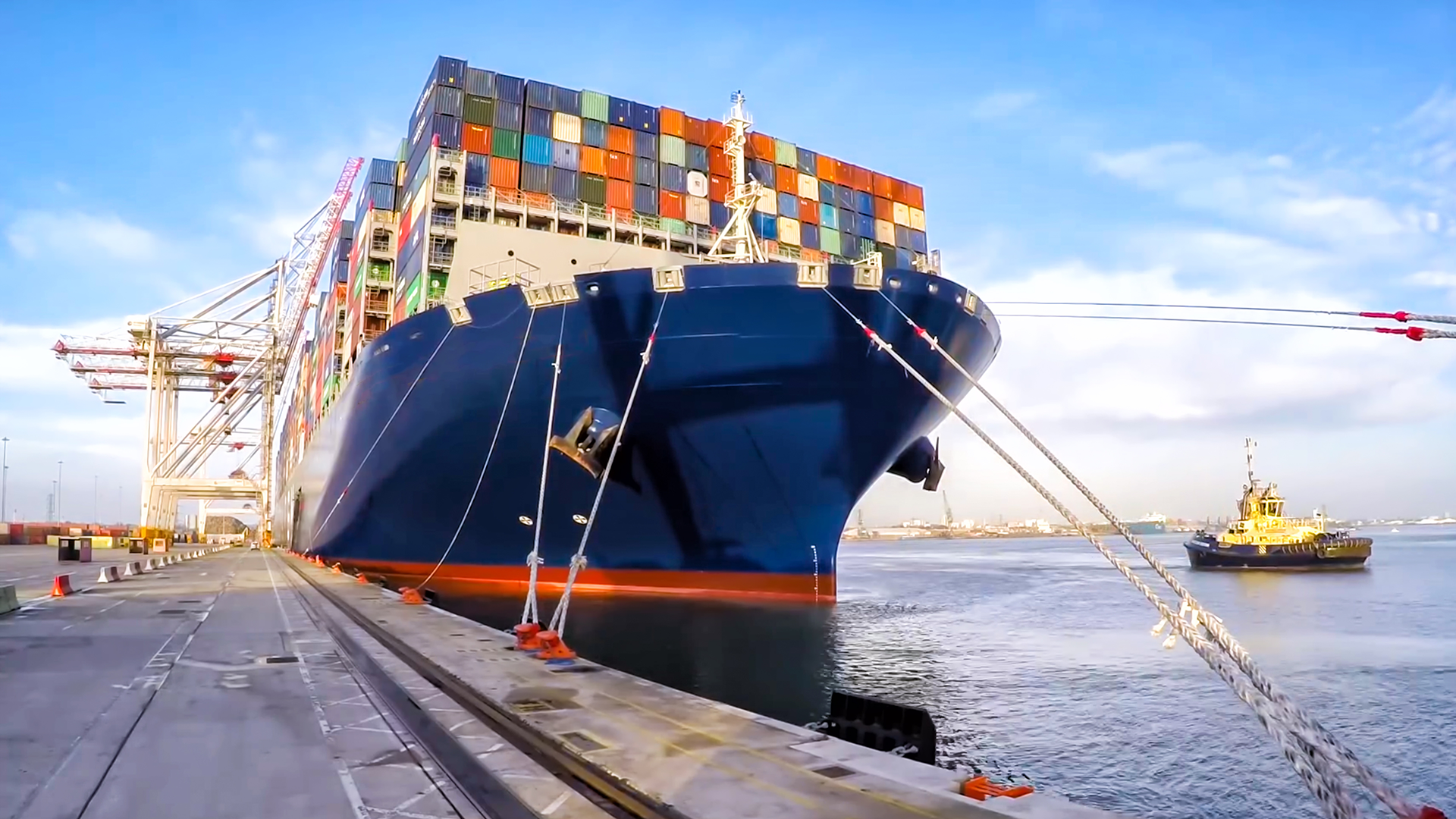 Supply chain traceability and Dynamics 365